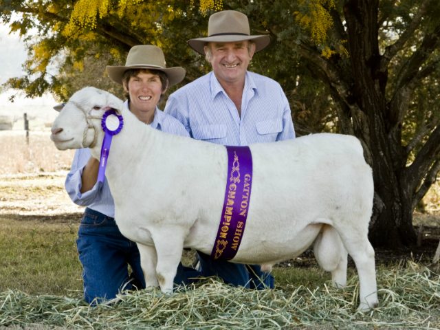 These people are with a prize winning sheep